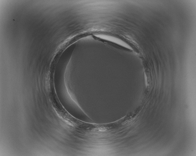 X0000066110492200603241548