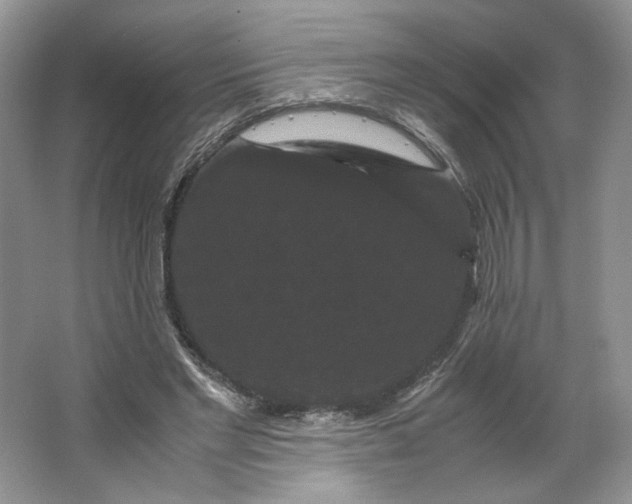 X0000066110493200603241548