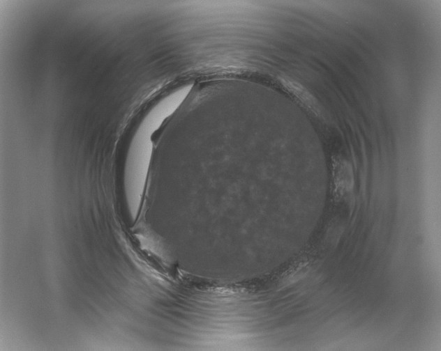 X0000066110494200603241548