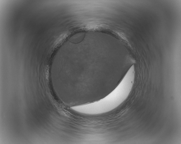 X0000066110495200603241548