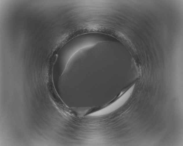 X0000066110496200603241548