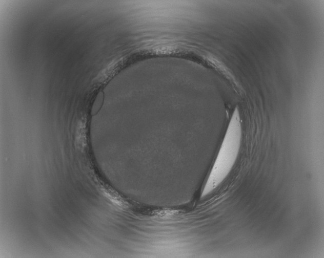 X0000066110497200603241548