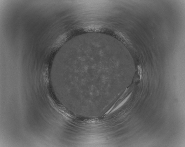 X0000066110498200603241548