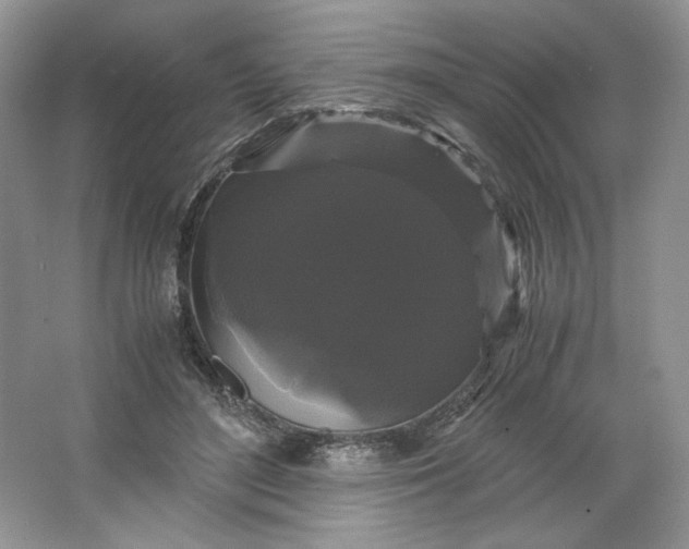 X0000066110500200603241548