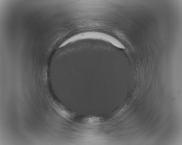 X0000066110501200603241548
