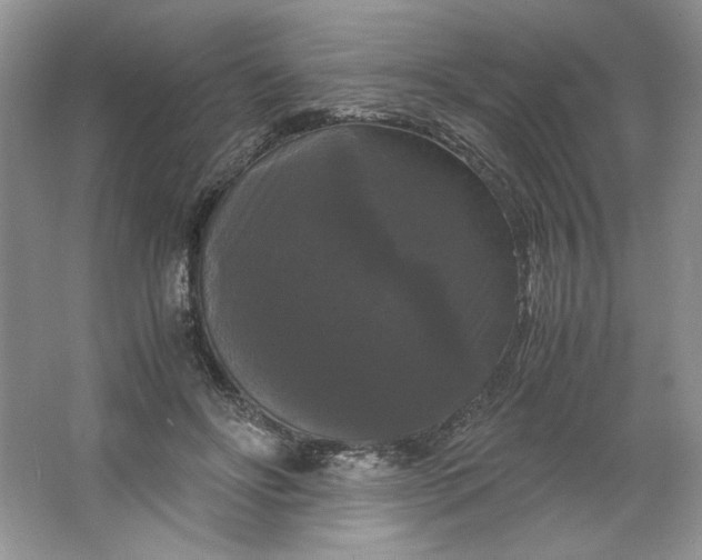 X0000066110502200603241548