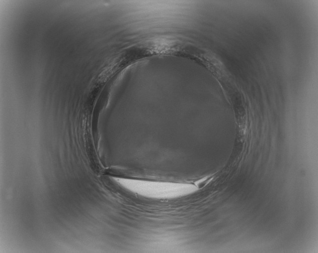 X0000066110503200603241548