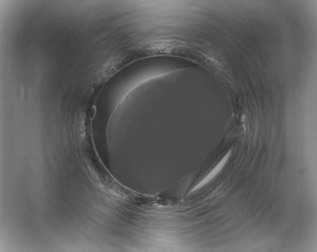 X0000066110504200603241548