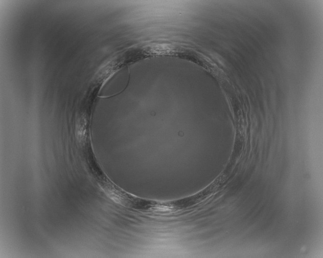 X0000066110507200603241548