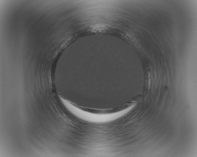 X0000066110508200603241548