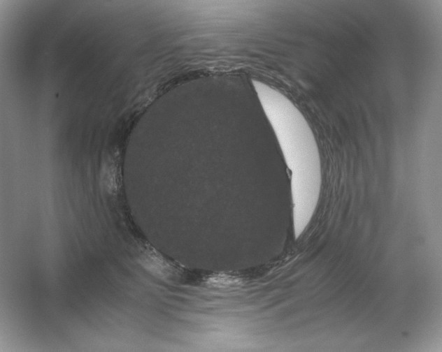 X0000066110515200603241547