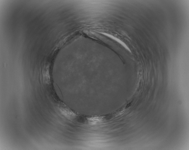 X0000066110516200603241547