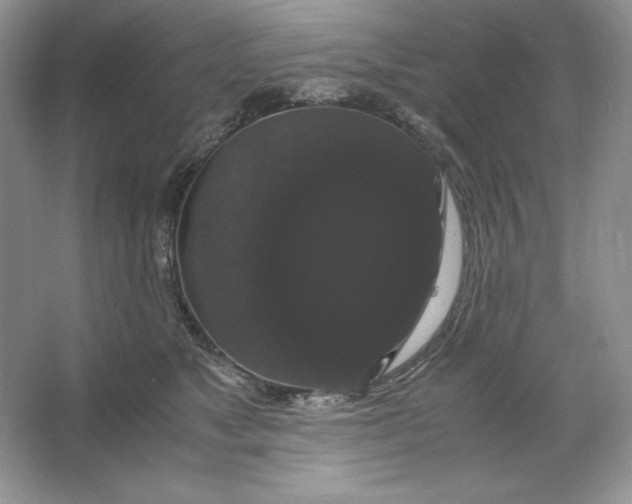 X0000066110517200603241547