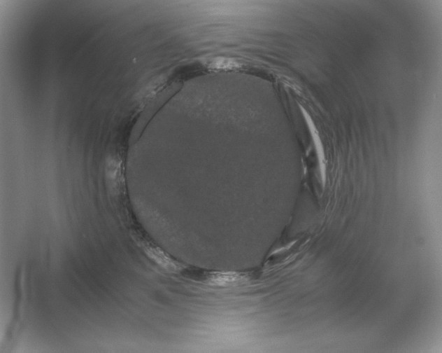 X0000066110521200603241547