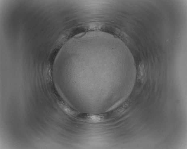 X0000066110522200603241547