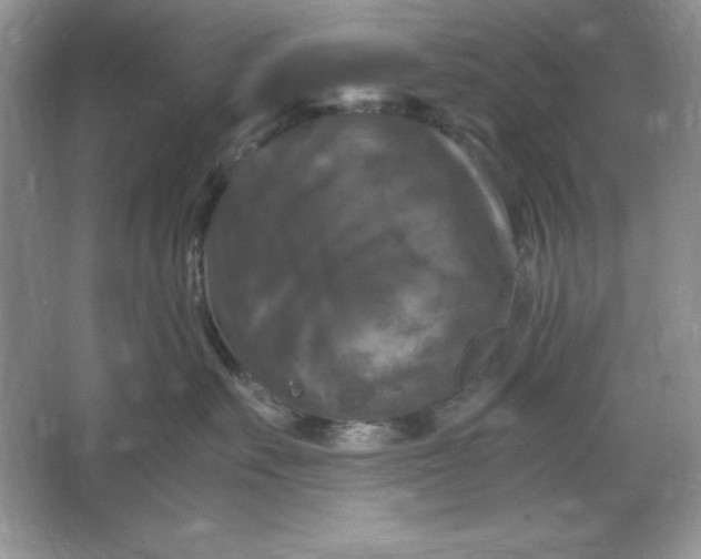 X0000066110527200603241547