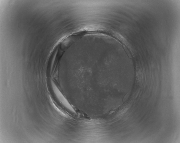 X0000066110530200603241546
