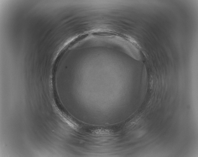 X0000066110535200603241546