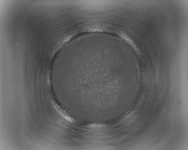 X0000066110537200603241547