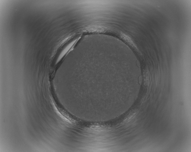 X0000066110538200603241547