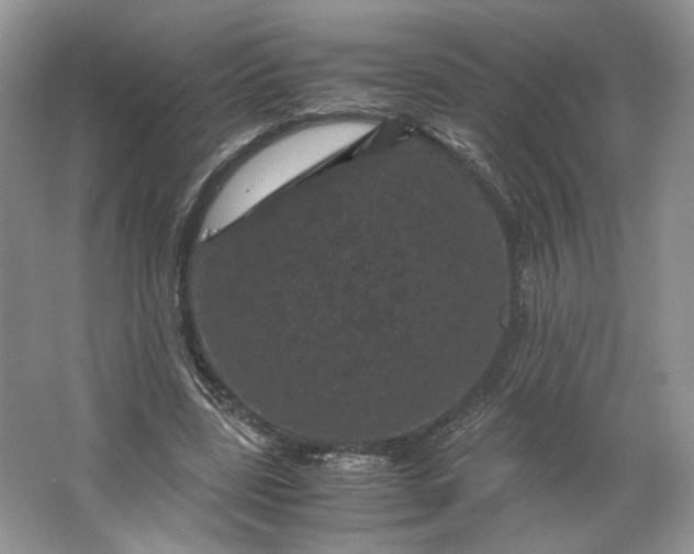 X0000066110539200603241547