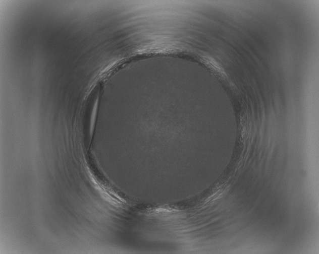 X0000066110542200603241547