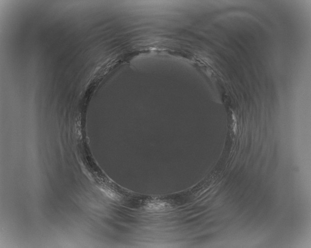 X0000066110547200603241547
