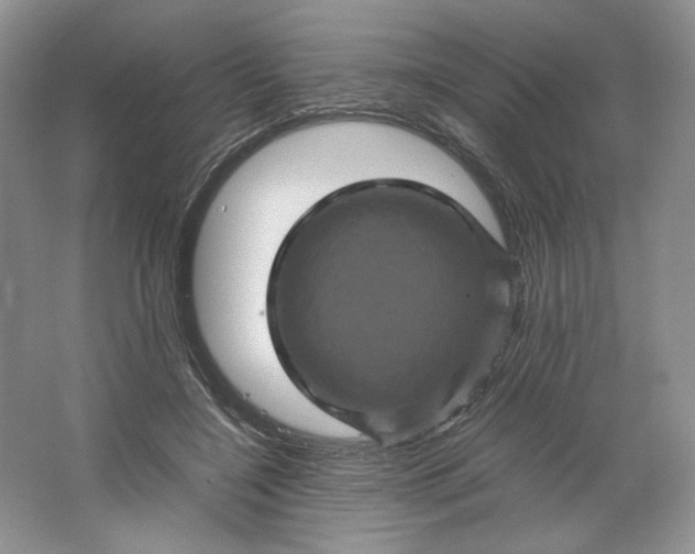 X0000066110548200603241547