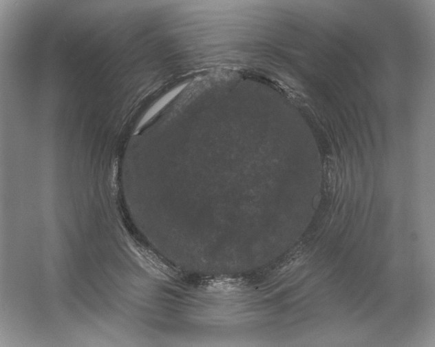 X0000066110550200603241547