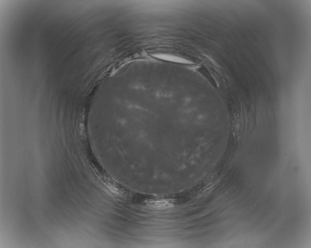 X0000066110553200603241547