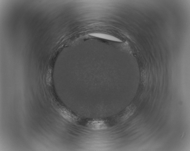 X0000066110554200603241547