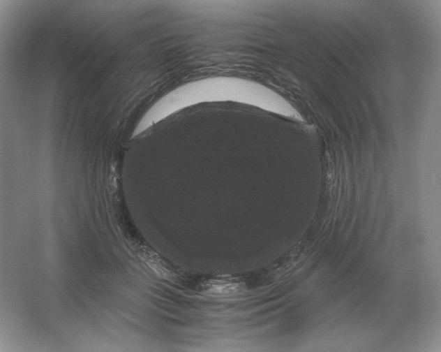 X0000066110555200603241547