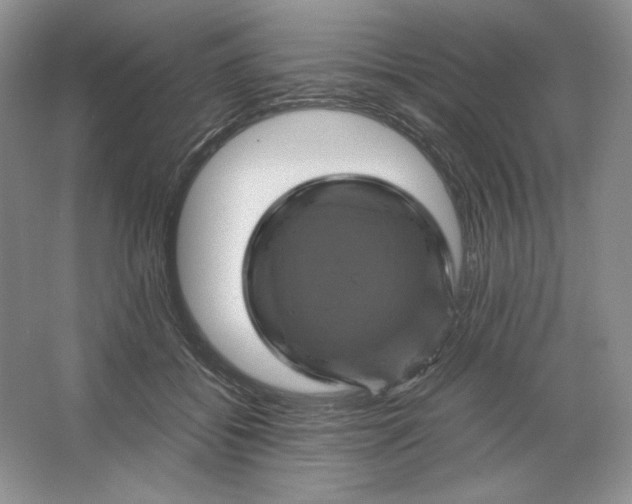 X0000066110556200603241547