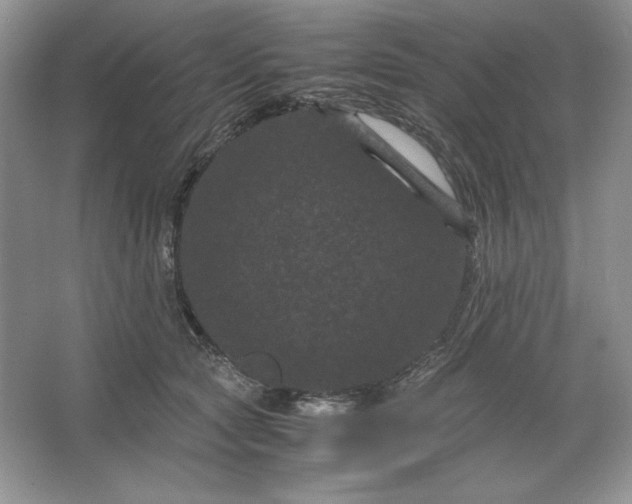 X0000066110561200603241547
