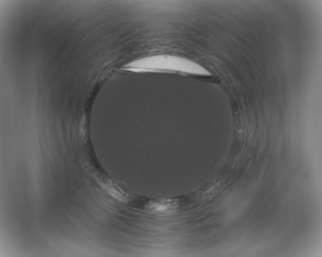 X0000066110563200603241547