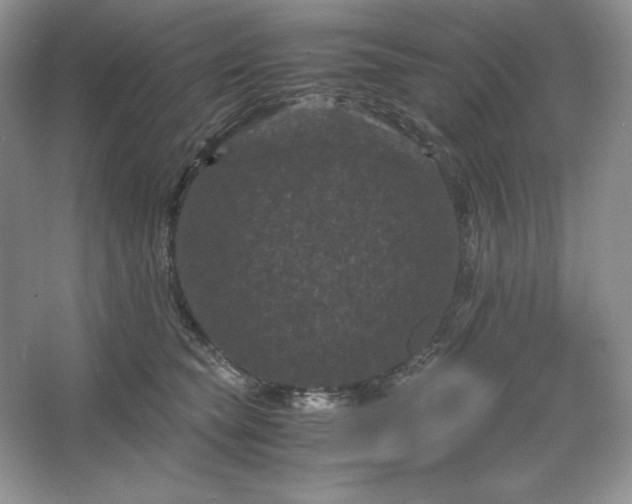 X0000066110565200603241547
