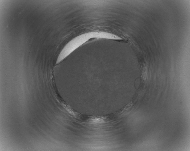 X0000066110569200603241547