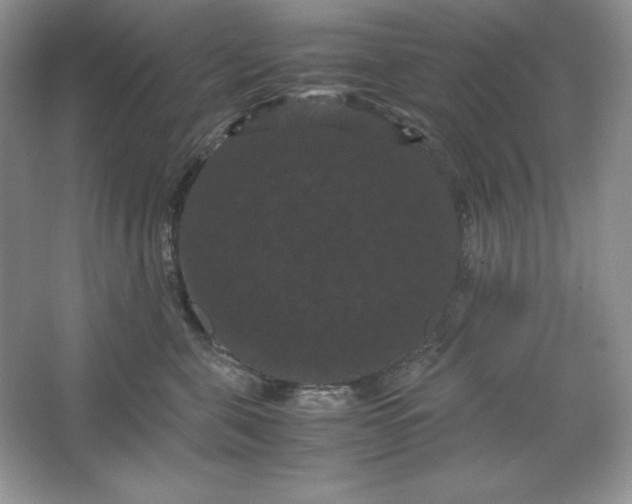 X0000066110571200603241547