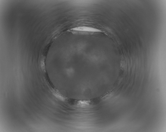 X0000066110573200603241547