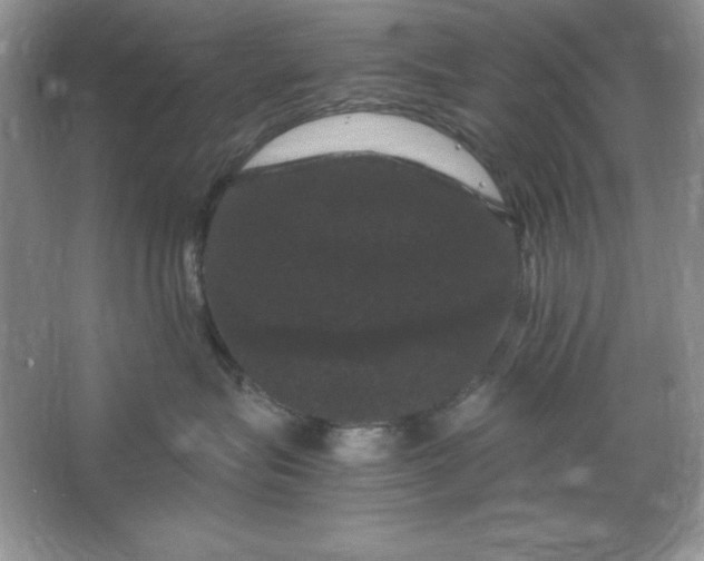 X0000066110575200603241547