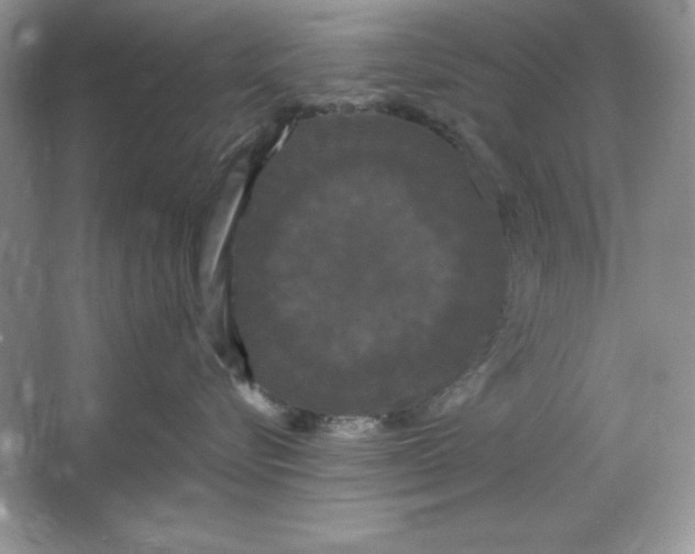 X0000066110576200603241547