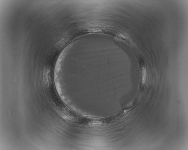 X0000066110598200603241546