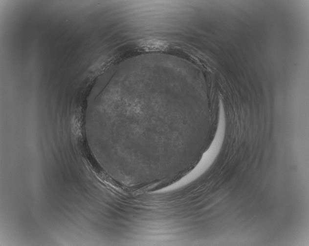 X0000066110604200603241546