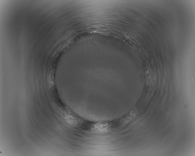 X0000066110606200603241546