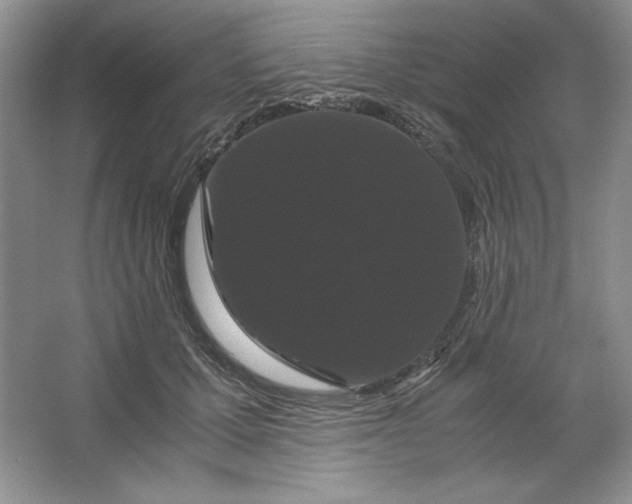 X0000066110607200603241546