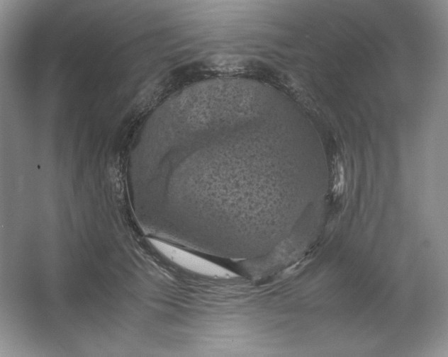 X0000066110609200603241546