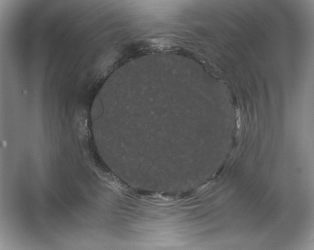 X0000066110615200603241546