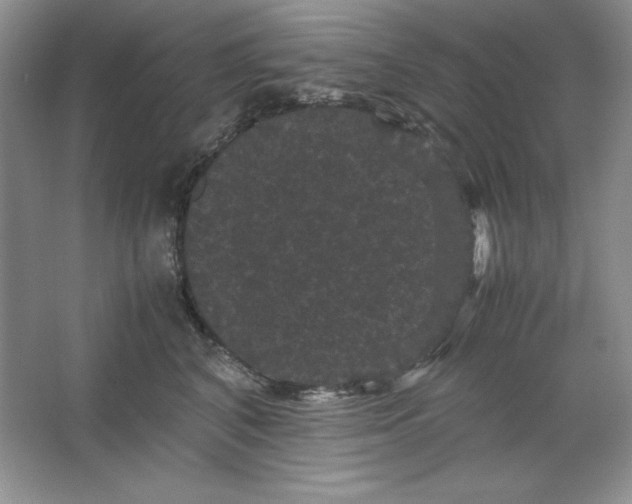 X0000066110616200603241546