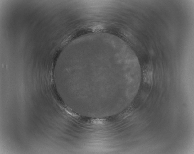 X0000066110618200603241546