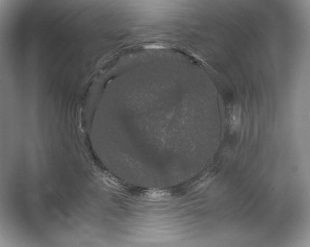 X0000066110619200603241546